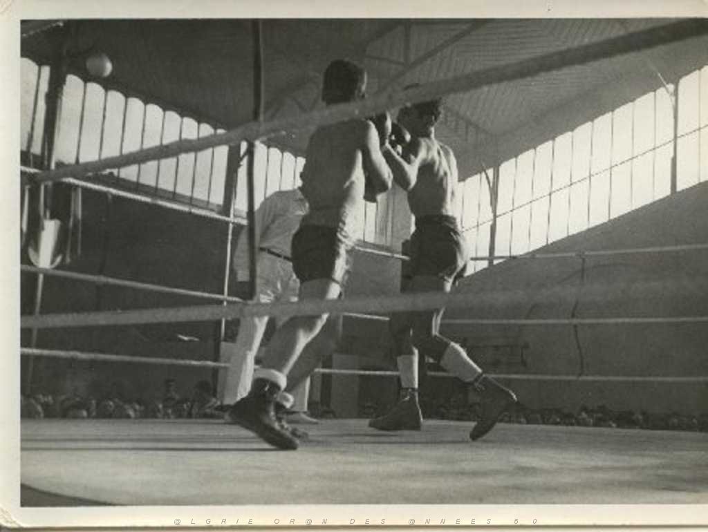 BOXE 1957 SANCHEZ AUGUSTIN 04 CHAMPION D ALGERIE.JPG